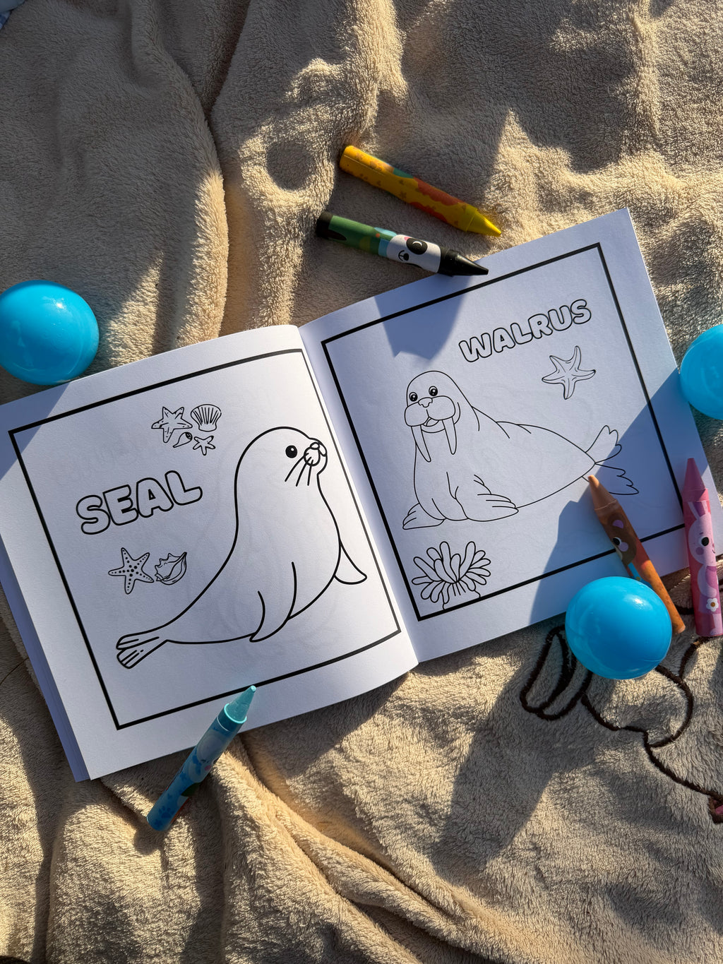 Sea Animals Colouring Book