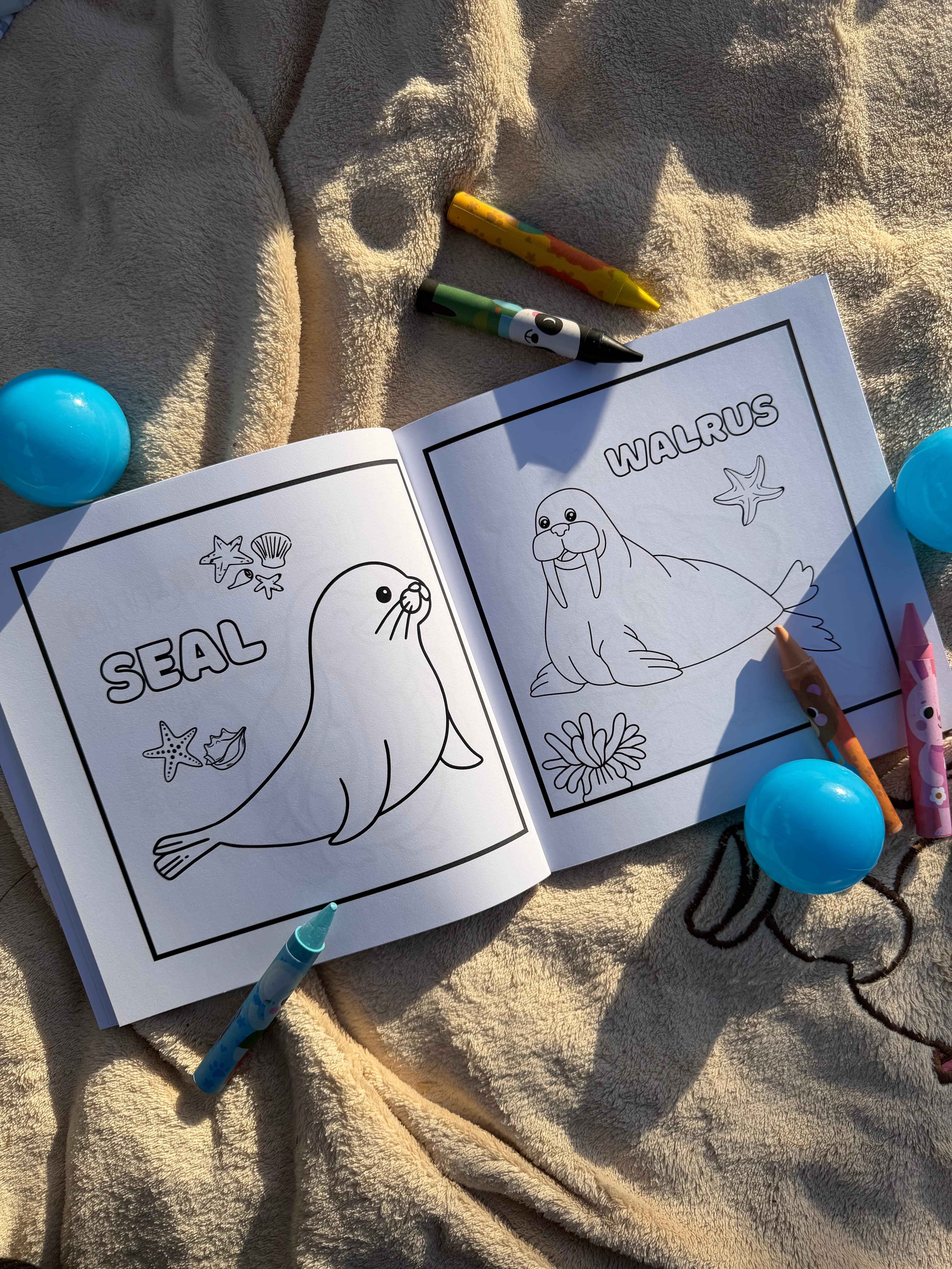 Sea Animals Colouring Book