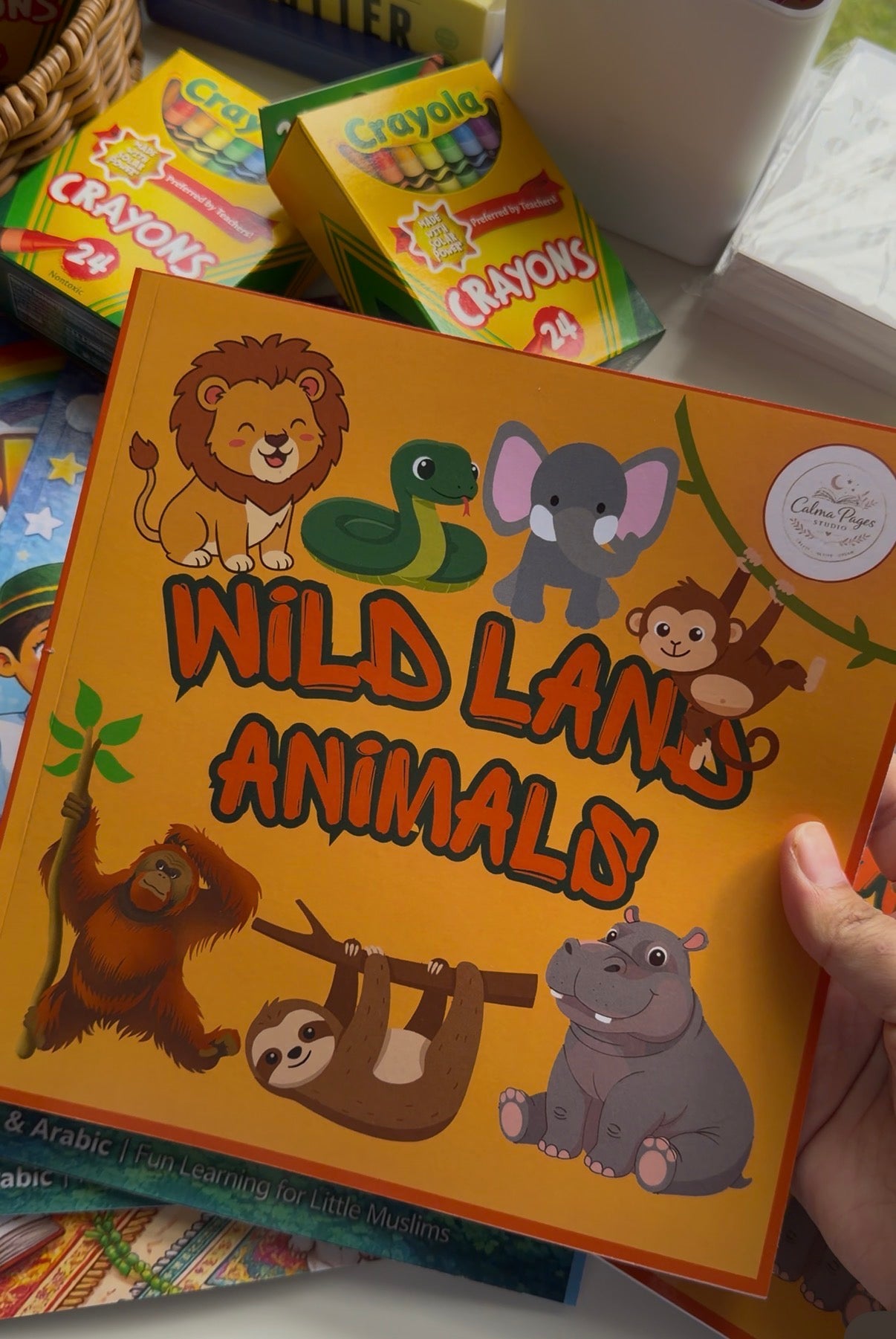 Wild Land Animals Colouring Book